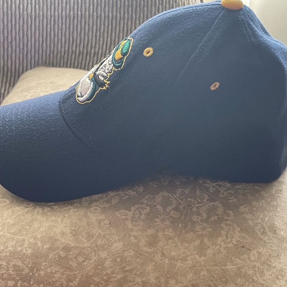 Notre Dame Hat - Picture 2 of 5